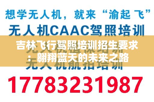 吉林飞行驾照培训招生要求：翱翔蓝天的未来之路