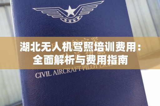 湖北无人机驾照培训费用：全面解析与费用指南