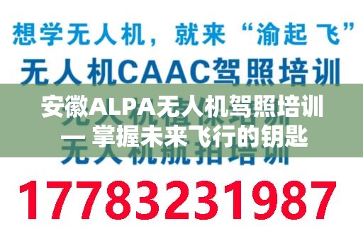 安徽ALPA无人机驾照培训 — 掌握未来飞行的钥匙
