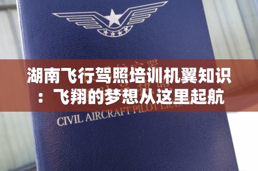 湖南飞行驾照培训机翼知识：飞翔的梦想从这里起航