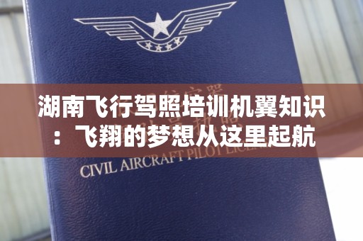 湖南飞行驾照培训机翼知识：飞翔的梦想从这里起航