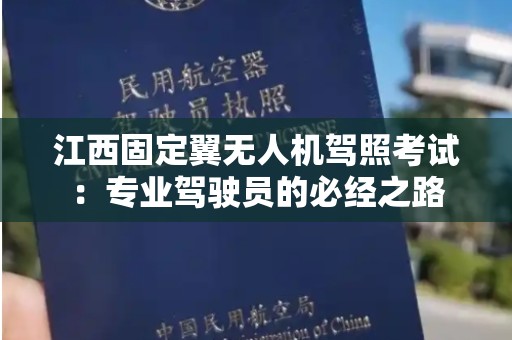 江西固定翼无人机驾照考试：专业驾驶员的必经之路