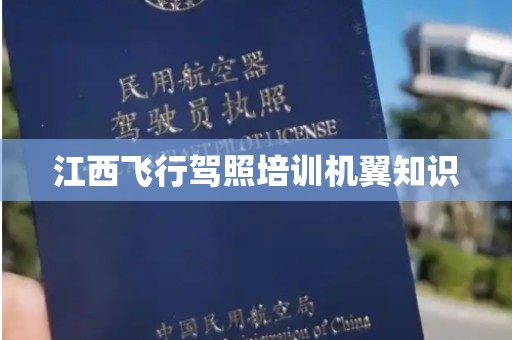 江西飞行驾照培训机翼知识