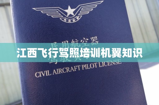 江西飞行驾照培训机翼知识