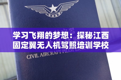 学习飞翔的梦想：探秘江西固定翼无人机驾照培训学校