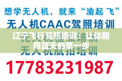 辽宁飞行驾照培训：让你翱翔蓝天的第一步