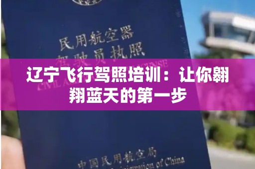 辽宁飞行驾照培训：让你翱翔蓝天的第一步