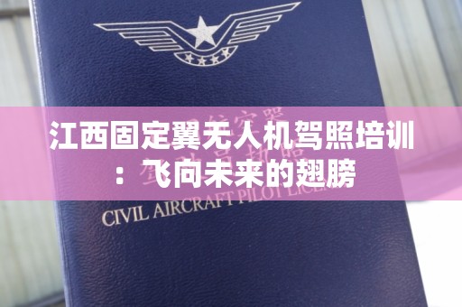 江西固定翼无人机驾照培训：飞向未来的翅膀