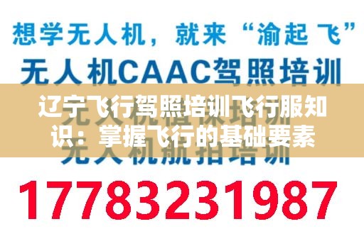 辽宁飞行驾照培训飞行服知识：掌握飞行的基础要素