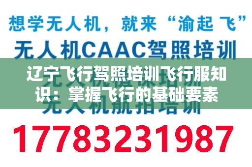 辽宁飞行驾照培训飞行服知识：掌握飞行的基础要素