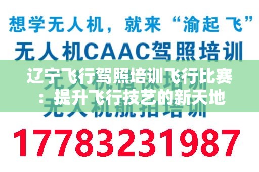 辽宁飞行驾照培训飞行比赛：提升飞行技艺的新天地