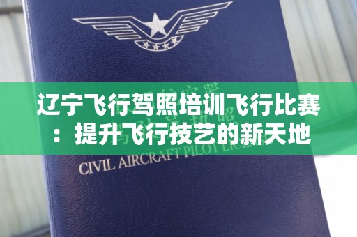 辽宁飞行驾照培训飞行比赛：提升飞行技艺的新天地