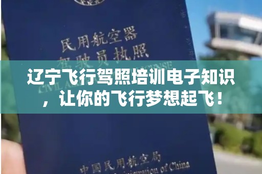 辽宁飞行驾照培训电子知识，让你的飞行梦想起飞！