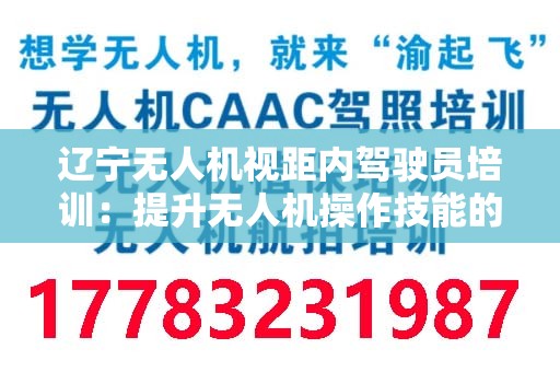 辽宁无人机视距内驾驶员培训：提升无人机操作技能的关键