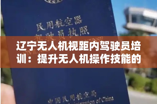 辽宁无人机视距内驾驶员培训：提升无人机操作技能的关键