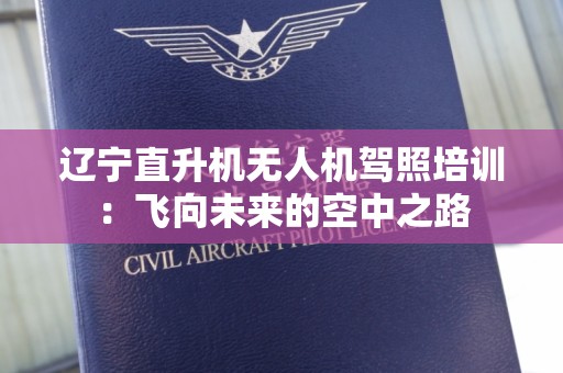 辽宁直升机无人机驾照培训：飞向未来的空中之路