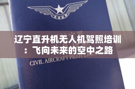 辽宁直升机无人机驾照培训：飞向未来的空中之路