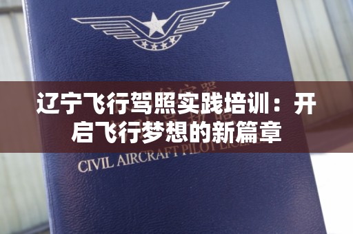 辽宁飞行驾照实践培训：开启飞行梦想的新篇章