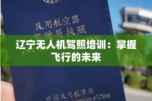 辽宁无人机驾照培训：掌握飞行的未来