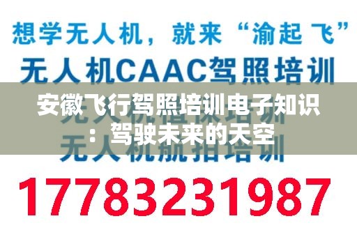 安徽飞行驾照培训电子知识：驾驶未来的天空