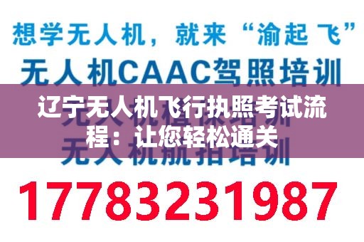 辽宁无人机飞行执照考试流程：让您轻松通关