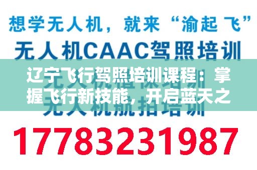 辽宁飞行驾照培训课程：掌握飞行新技能，开启蓝天之旅