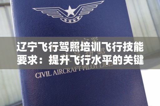辽宁飞行驾照培训飞行技能要求：提升飞行水平的关键