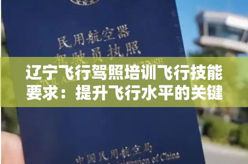 辽宁飞行驾照培训飞行技能要求：提升飞行水平的关键