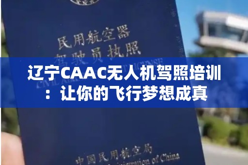 辽宁CAAC无人机驾照培训：让你的飞行梦想成真