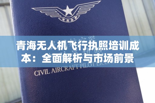 青海无人机飞行执照培训成本：全面解析与市场前景