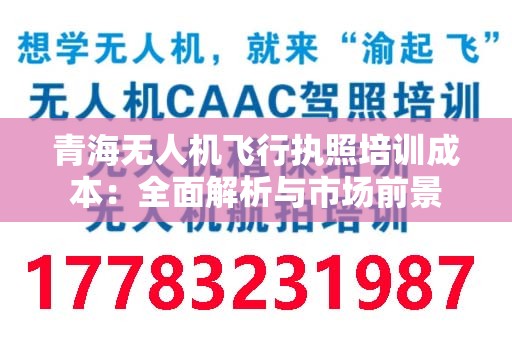 青海无人机飞行执照培训成本：全面解析与市场前景