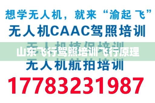 山东飞行驾照培训飞行原理