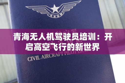 青海无人机驾驶员培训：开启高空飞行的新世界