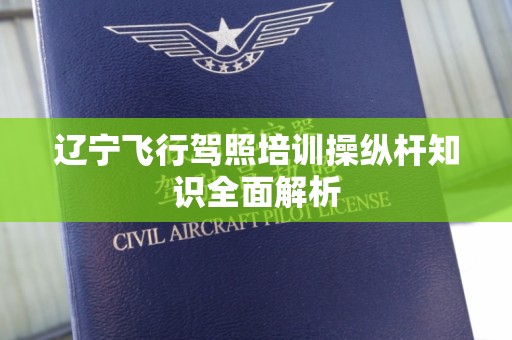 辽宁飞行驾照培训操纵杆知识全面解析