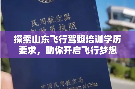 探索山东飞行驾照培训学历要求，助你开启飞行梦想