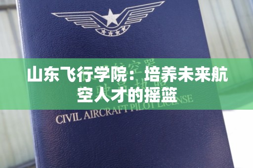 山东飞行学院：培养未来航空人才的摇篮