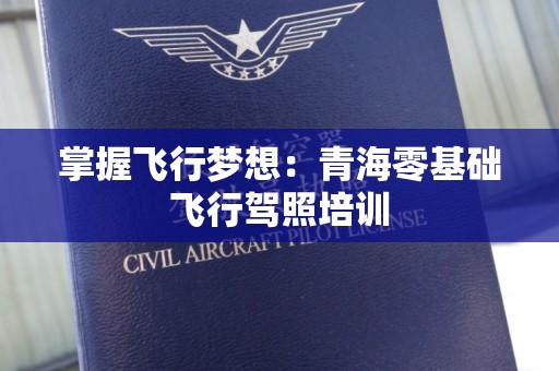 掌握飞行梦想：青海零基础飞行驾照培训