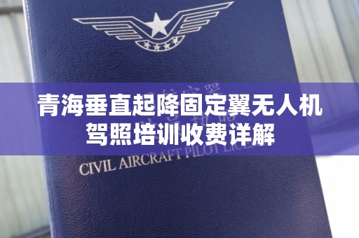 青海垂直起降固定翼无人机驾照培训收费详解