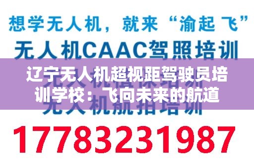 辽宁无人机超视距驾驶员培训学校：飞向未来的航道