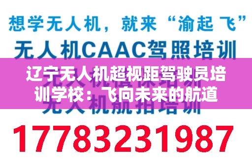 辽宁无人机超视距驾驶员培训学校：飞向未来的航道