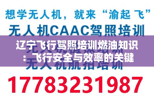 辽宁飞行驾照培训燃油知识：飞行安全与效率的关键