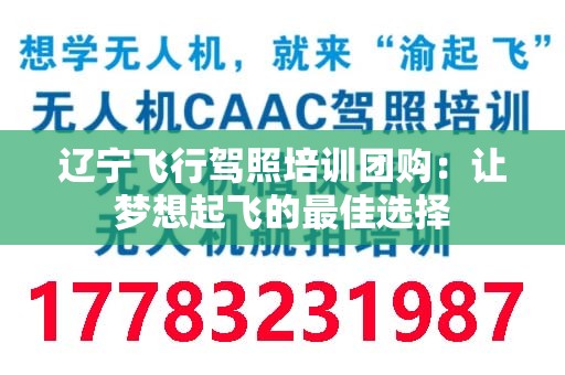 辽宁飞行驾照培训团购：让梦想起飞的最佳选择