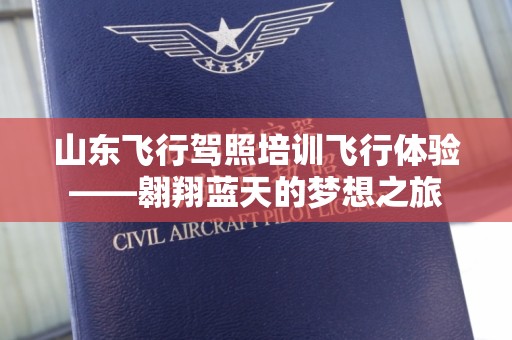 山东飞行驾照培训飞行体验——翱翔蓝天的梦想之旅