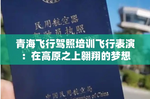 青海飞行驾照培训飞行表演：在高原之上翱翔的梦想