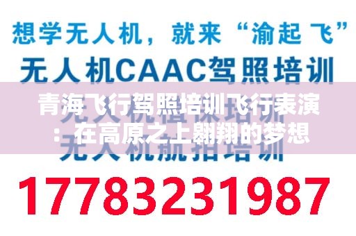 青海飞行驾照培训飞行表演：在高原之上翱翔的梦想