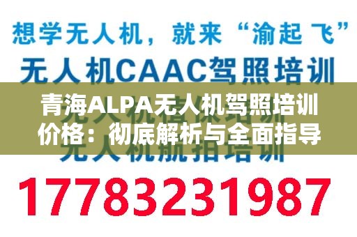 青海ALPA无人机驾照培训价格：彻底解析与全面指导