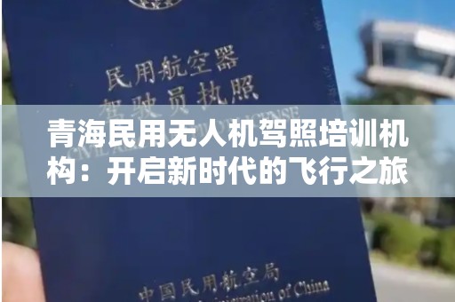 青海民用无人机驾照培训机构：开启新时代的飞行之旅