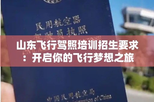 山东飞行驾照培训招生要求：开启你的飞行梦想之旅
