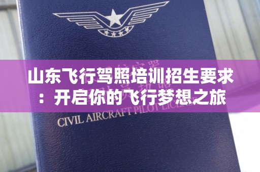 山东飞行驾照培训招生要求：开启你的飞行梦想之旅