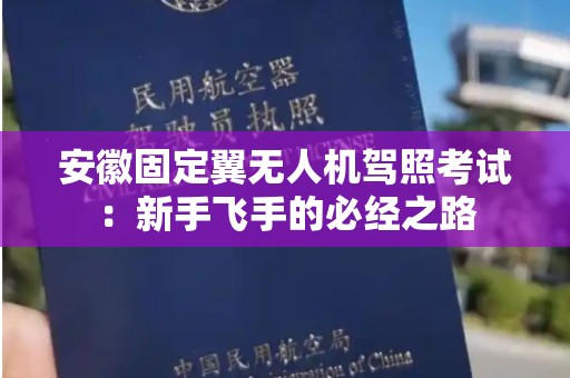 安徽固定翼无人机驾照考试：新手飞手的必经之路